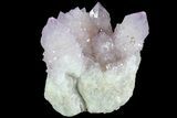 Cactus Quartz (Amethyst) Cluster - South Africa #80014-1
